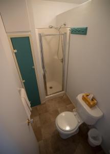 a small bathroom with a toilet and a shower at Le Goéland in Tadoussac