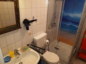 a bathroom with a toilet and a sink and a shower at Zimmerappartement "Rose" - Ferienwohnungen Wagner & Gaul in Falkenauel
