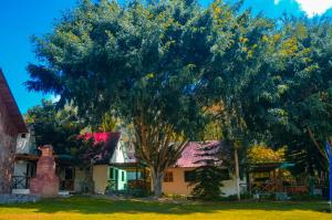 Zahrada ubytování Hotel Rancho Constanza & Cabañas de la Montaña