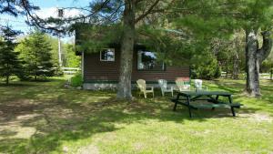 una mesa de picnic y sillas frente a una cabaña en Logging Chain Lodge Cottage Resort, en Dwight