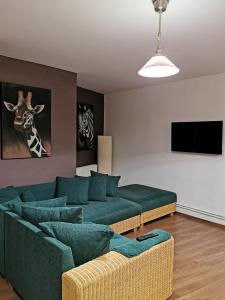 ブラショヴにあるDrumul Poienii Apartmentの緑のソファとテレビのあるリビングルーム