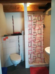 a bathroom with a toilet and a shower curtain at Sonnige Zimmer in Eberhardzell