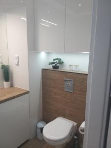 uma casa de banho com WC e uma planta num balcão em Apartament Nowa Letnica em Gdansk