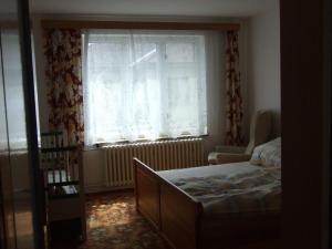1 dormitorio con cama, ventana y silla en Apartmán, en Dolní Bukovsko