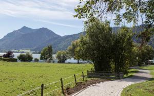 a path through a field with a tree and mountains at Haus Panorama in Schliersee +20 photos