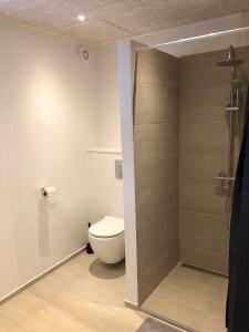 Hedegaard Holiday Apartments的一间浴室