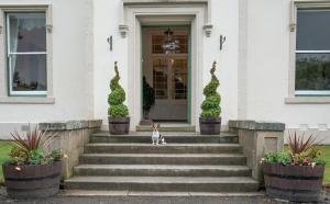 a dog sitting on the stairs of a house at West Plean House in Stirling