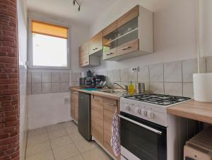 uma cozinha com um fogão e um lavatório em LEM Suburban Apartment em Budapeste