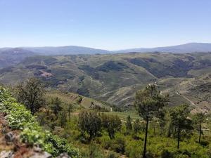 leerplannen bij Domus Trintorum in Peso da Régua