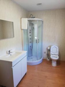 a bathroom with a shower and a toilet and a sink at Domus Trintorum in Peso da Régua