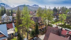 an aerial view of a small town in the mountains at Willa Owca i Baran in Zakopane