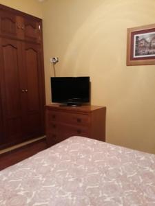 ein Schlafzimmer mit einem Bett und einem TV auf einer Kommode in der Unterkunft Apartamento con terraza privada y barbacoa in La Laguna
