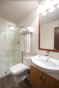 Valemount Vacation Inn tesisinde bir banyo