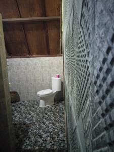 a bathroom with a toilet in a room at Dinoyin Bungalows in Gili Meno