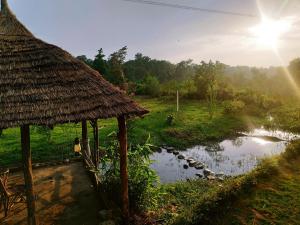 a field with a hut and a small pond at Nature Care Village- Rajaji National Park in Rishīkesh