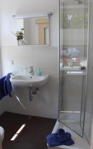 a bathroom with a sink and a shower at Pension Am Ziegelwall in Bautzen