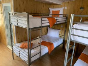 Hostel CACTUS Costinesti emeletes ágyai egy szobában