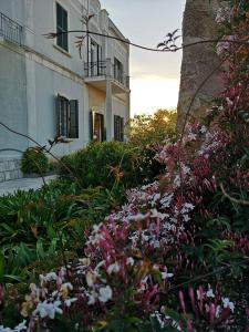 ジョヴィナッツォにあるB&B villa Mariaの建物前の花園