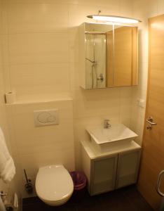 a bathroom with a toilet and a sink and a mirror at Hotel Etschquelle in Resia