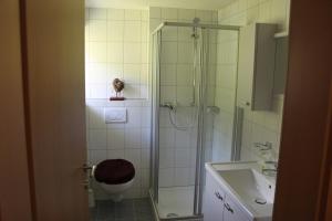 a bathroom with a shower and a toilet and a sink at Ferienwohnung mit Panoramablick in Viktorsberg