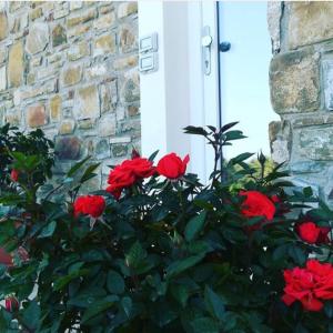 Zahrada ubytování B&b Il sogno