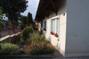 Zahrada ubytování Veszprém Room + 12 fotografií