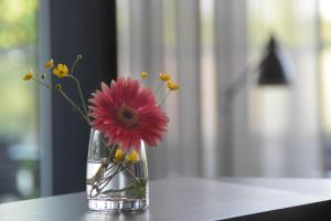 Fotografie z fotogalerie ubytování Fruitpark Hotel & Spa v destinaci Ochten