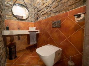 La salle de bains est pourvue de toilettes, d'un lavabo et d'un miroir. dans l'établissement Casa Dueso, à El Pueyo de Araguás