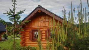 A garden outside Camp PACHO