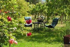 dos sillas y una mesa en un patio con rosas en a casa di antonio, en Lucca
