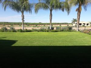 a large grassy field with palm trees in the background at Augrabies De Oude Stoor Guesthouse in Augrabies