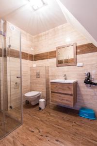 a bathroom with a toilet and a sink and a shower at Domki Czajki Zakopane in Kościelisko
