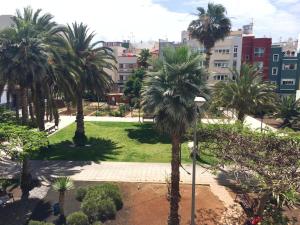 un parco con palme in città di Farray Beach Flat III by Canary365 a Las Palmas de Gran Canaria