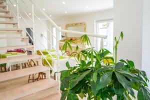 a room with stairs and a potted plant at Villa Giulia in Crotone