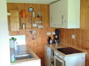 a kitchen with wooden walls and a sink at Idyllic Bungalow in Damshagen near Baltic Sea in Reppenhagen
