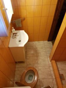 a small bathroom with a toilet and a sink at Cottage Plavi Lav Potok in Potok