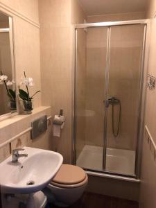 a bathroom with a shower and a toilet and a sink at Pokoje gościnne Bursztynowa in Białogóra