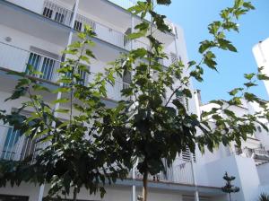 Hotel Simeon