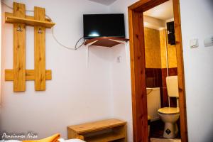 ブランにあるPensiunea Nisaのバスルーム(トイレ付)、壁掛けテレビが備わります。