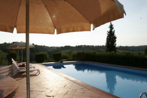 Πισίνα στο ή κοντά στο Agriturismo Il Colle