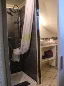 ディーニュ・レ・バンにあるT2 atypique "cœur de ville"のバスルーム(シャワー、シャワーカーテン付)が備わります。
