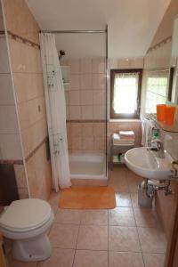 a bathroom with a toilet and a sink and a shower at Rooms Zupančič in Bohinjska Bela