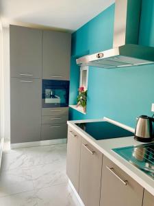 Kuchyň nebo kuchyňský kout v ubytování Deluxe Suites Mandić
