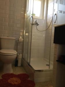 y baño con ducha y aseo. en Apartman Dénia, en Denia