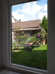Zahrada ubytování Arthouse Apartment 2