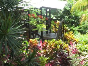 a wooden chair in a garden with plants at Hibiscus Valley Inn in Marigot