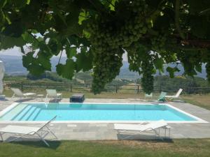 a swimming pool with chairs and a bunch of grapes at Cascina Marcantonio in Acqui Terme
