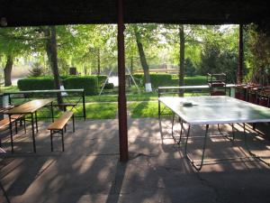 Fotografia z galérie ubytovania Camping nr 61 v destinácii Elblag