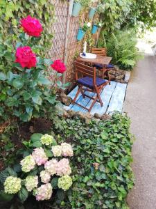 un banco y una mesa y algunas flores rosas en Gyöngyszem Vendégház, en Eger