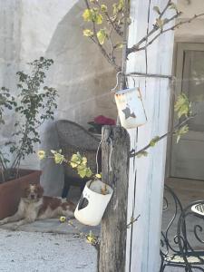 Fotografia z galérie ubytovania Borgo trulli 1789 v destinácii Ostuni